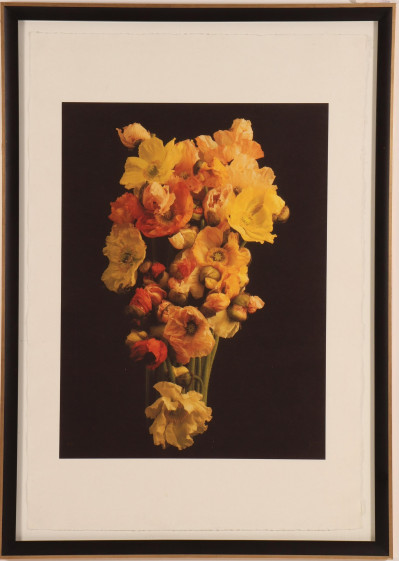 Jonathan Singer - Color Photo Print A/P