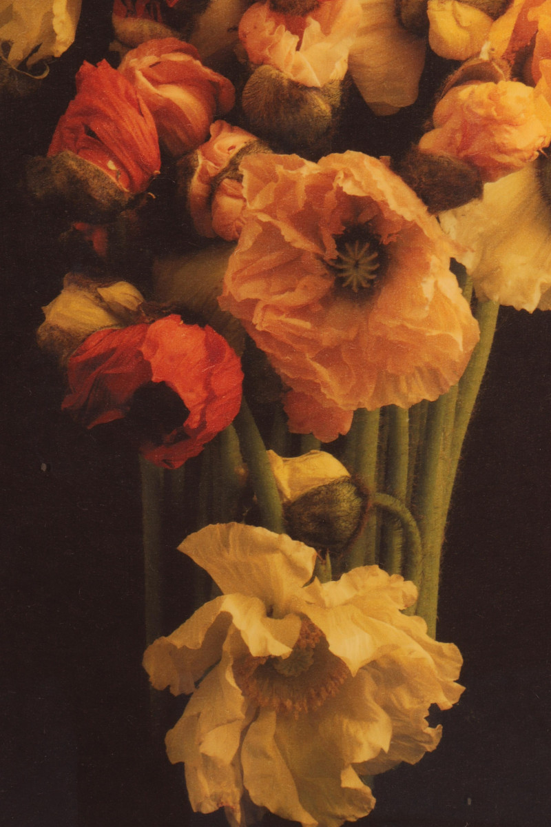 Jonathan Singer - Color Photo Print A/P