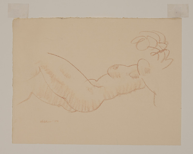 Donald Holden - Nine nude drawings