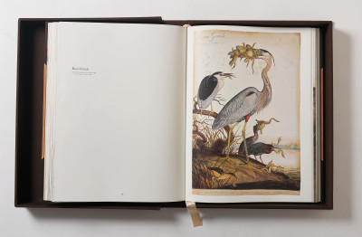 Walton Ford - Poncha Tantra (Taschen Baby SUMO Limited Edition Book)