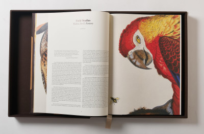 Walton Ford - Poncha Tantra (Taschen Baby SUMO Limited Edition Book)