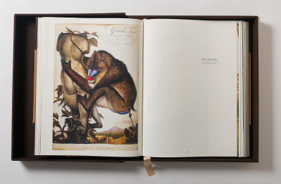Walton Ford - Poncha Tantra (Taschen Baby SUMO Limited Edition Book)