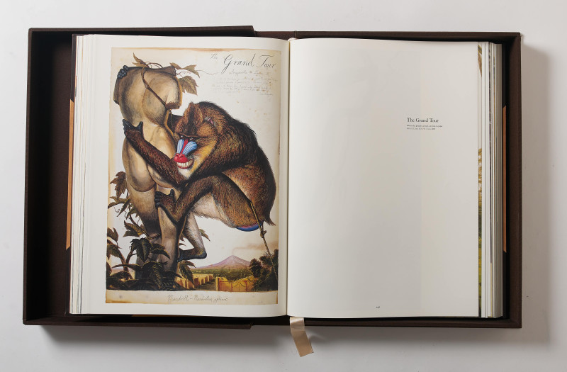 Walton Ford - Poncha Tantra (Taschen Baby SUMO Limited Edition Book)