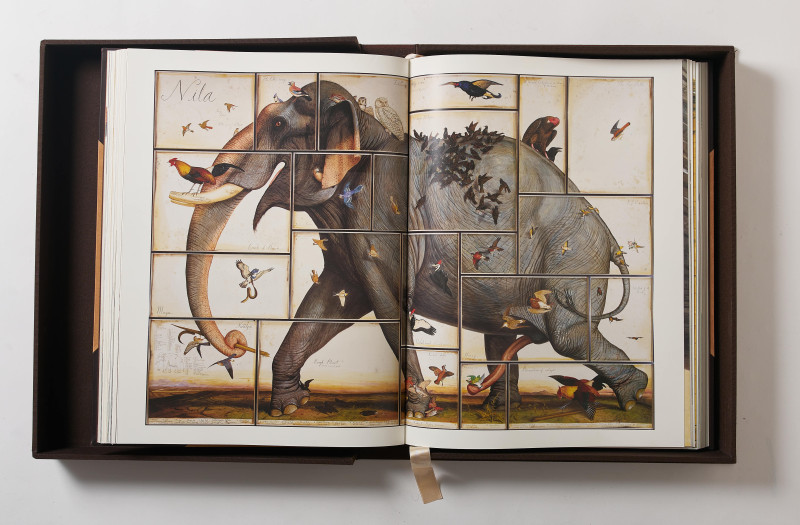 Walton Ford - Poncha Tantra (Taschen Baby SUMO Limited Edition Book)