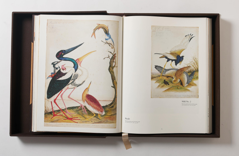 Walton Ford - Poncha Tantra (Taschen Baby SUMO Limited Edition Book)