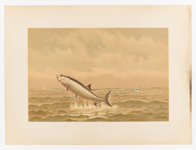 Remington, Frederic, A.B. Frost and others (illustrators) - Sport or Fishing and Shooting. Boston: Bradlee Whidden