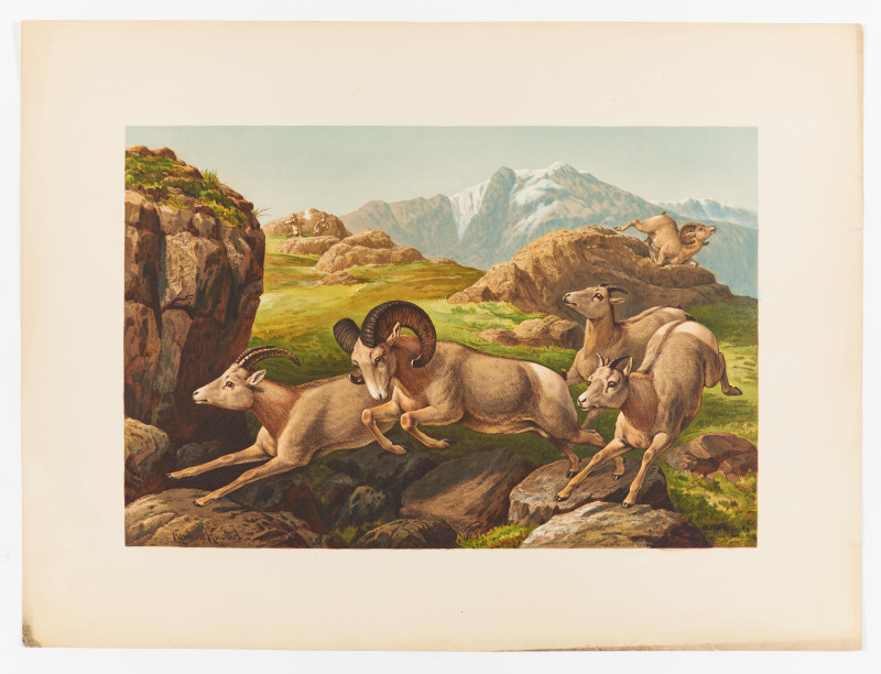 Remington, Frederic, A.B. Frost and others (illustrators) - Sport or Fishing and Shooting. Boston: Bradlee Whidden