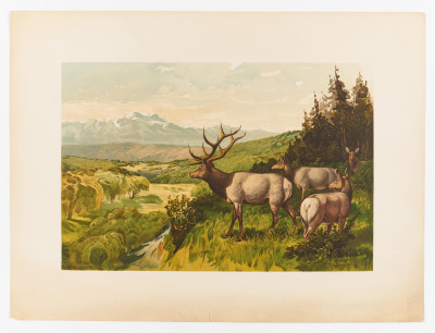 Remington, Frederic, A.B. Frost and others (illustrators) - Sport or Fishing and Shooting. Boston: Bradlee Whidden