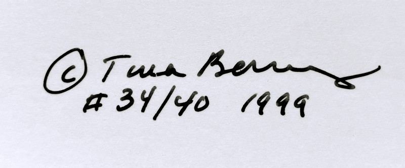 Tina Barney - The Lipstick, 1999 from Elton John AIDS Foundation Photography Portfolio 2