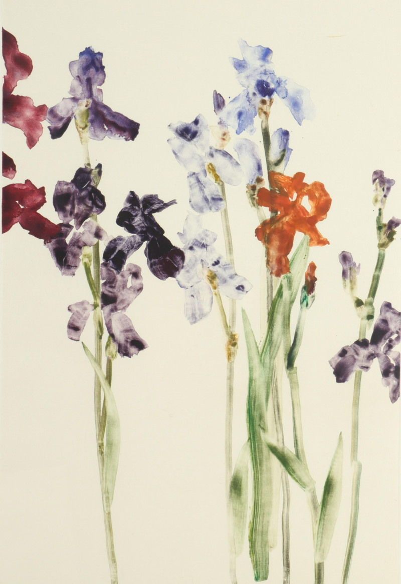 Forrest King Moses Purple Iris monotype