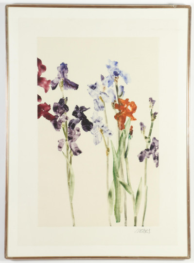 Forrest King Moses Purple Iris monotype