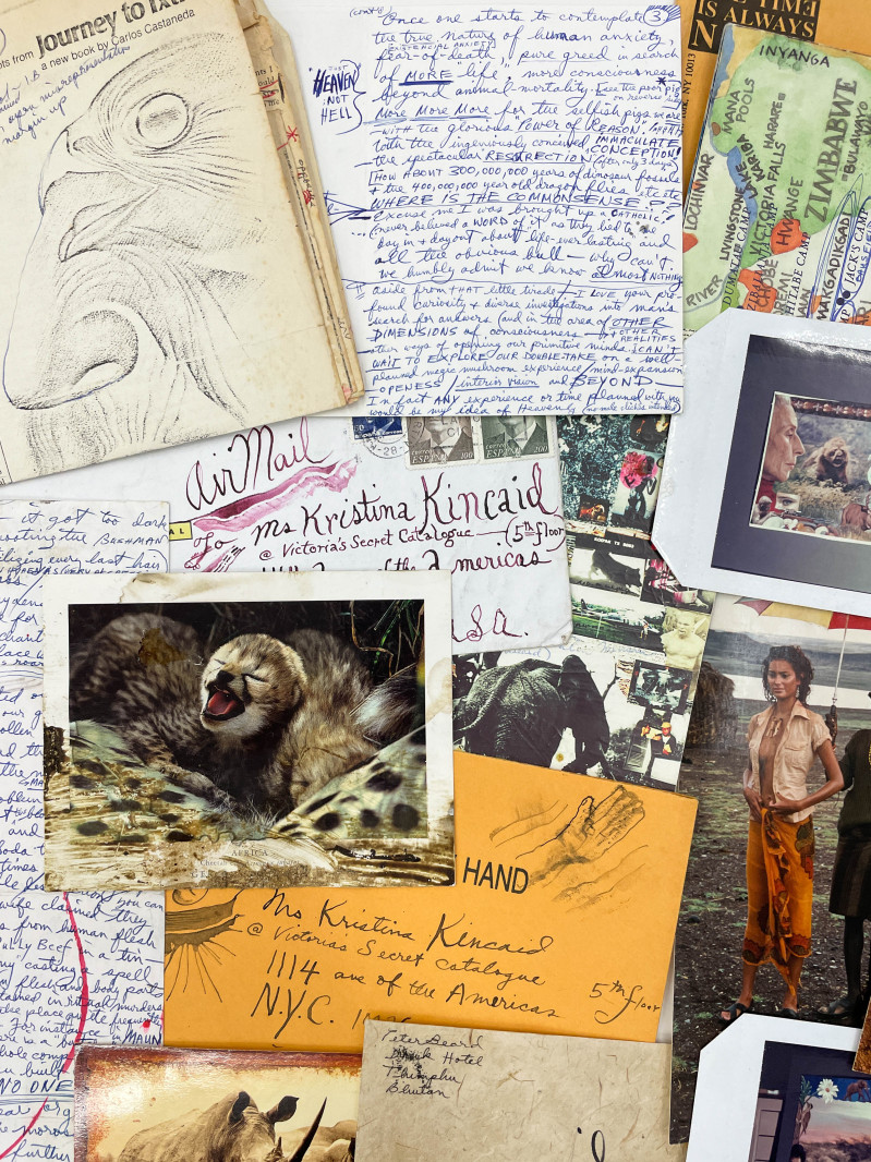Peter Beard - Peter Beard Drawings Accompanied by Correspondence and Effects