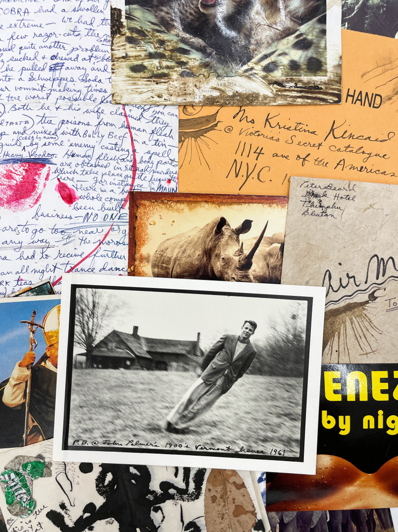Peter Beard - Peter Beard Drawings Accompanied by Correspondence and Effects