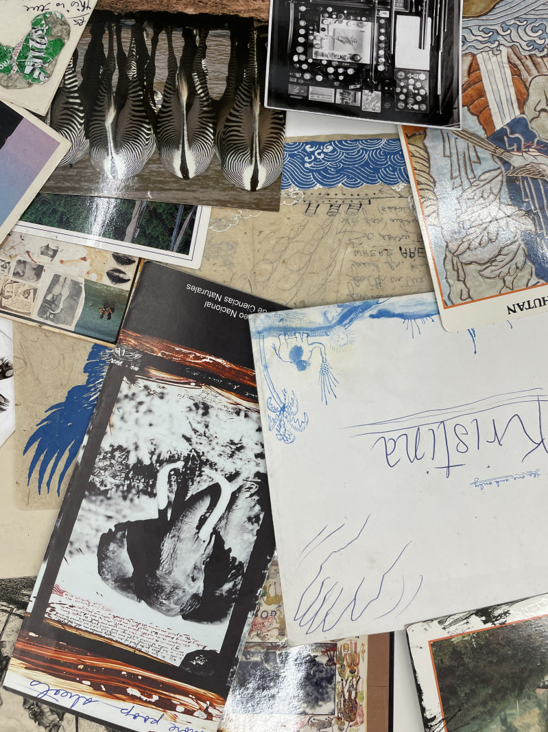 Peter Beard - Peter Beard Drawings Accompanied by Correspondence and Effects