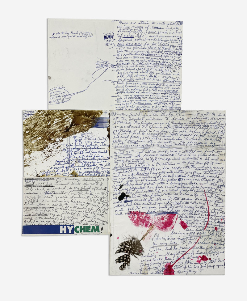 Peter Beard - Peter Beard Drawings Accompanied by Correspondence and Effects