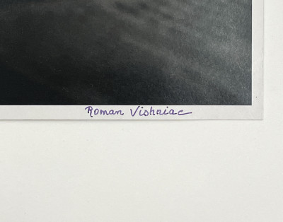 Roman Vishniac - Collection of 10 Photographs
