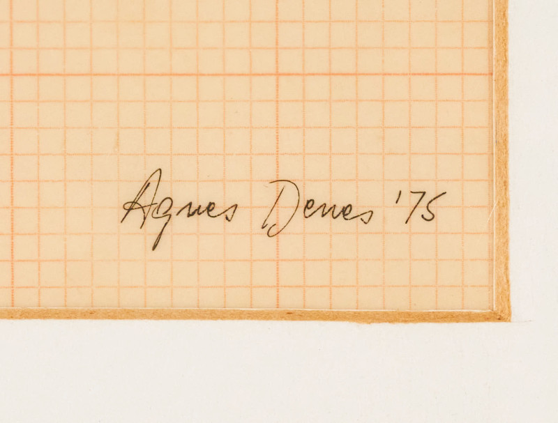 Agnes Denes - Study of Distortions; Isometric Systems in Isotropic Space-Map Projections: The Cube