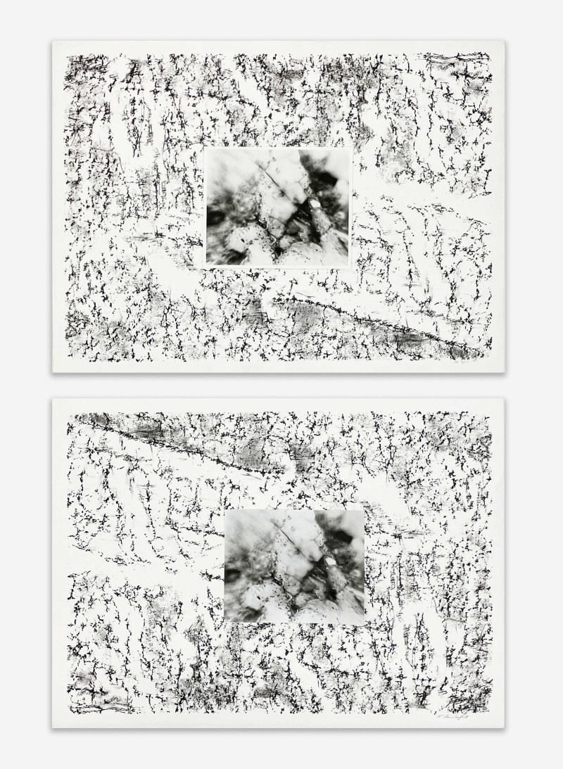 Alan Sonfist - Pair of Artist Proofs for 'Earth Movement of an Island'