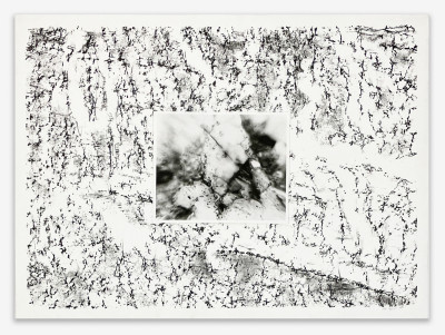 Alan Sonfist - Pair of Artist Proofs for 'Earth Movement of an Island'