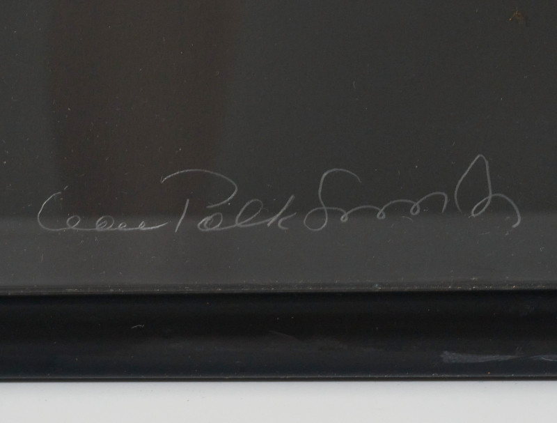 Leon Polk Smith - Color Forms E