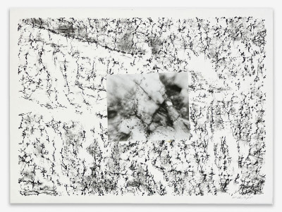 Alan Sonfist - from unpublished 'Earth Movements of a Waterfall' series (2 APs)