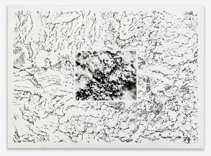 Alan Sonfist - from unpublished 'Earth Movements of a Waterfall' series (2 APs)