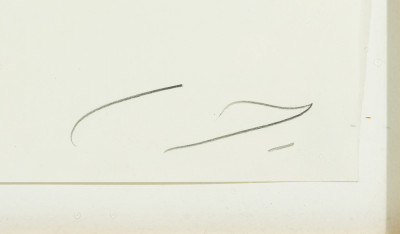 Cy Twombly - Laurus Nobilis, from: Natural History, Part II, Some Trees of Italy