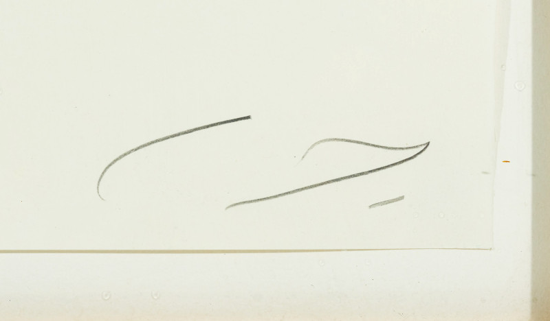 Cy Twombly - Laurus Nobilis, from: Natural History, Part II, Some Trees of Italy