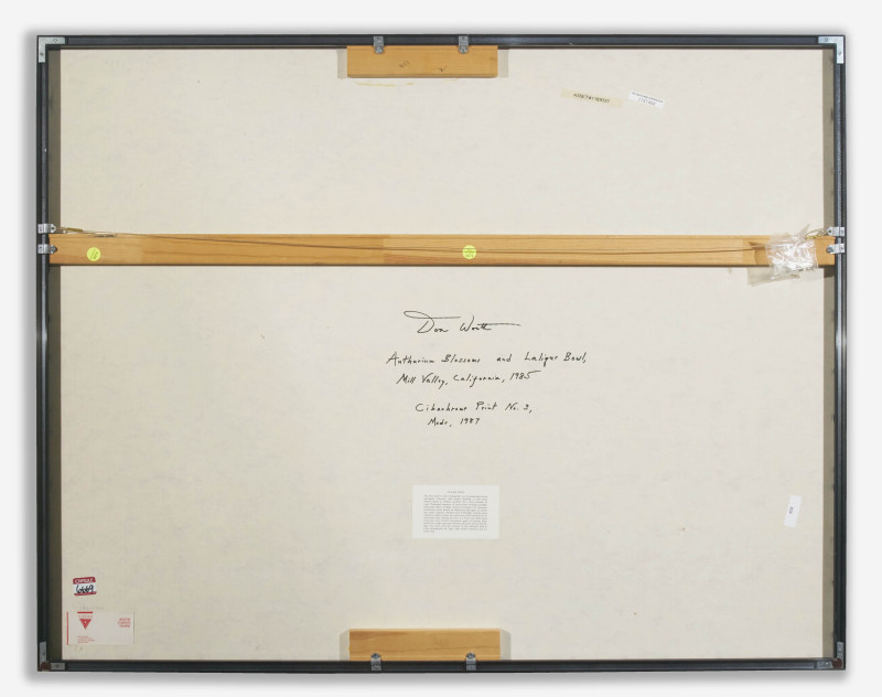 Don Worth - Anthurium Blossoms and Lalique Bowls, Mill Valley California 1985