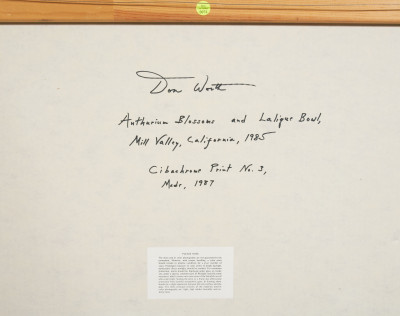 Don Worth - Anthurium Blossoms and Lalique Bowls, Mill Valley California 1985