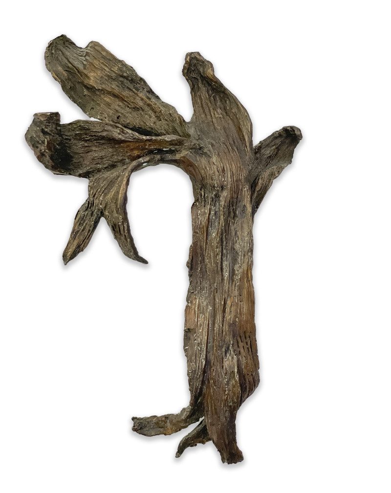 Seena Donneson - Corn Husk Wall Mounted Sculpture V