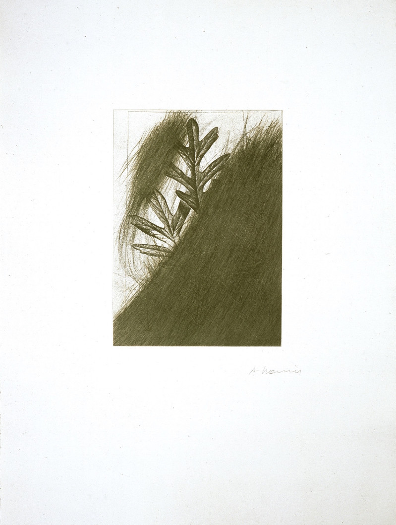 Arnulf Rainer - Eichenblatt (from the portfolio &quot;For Joseph Beuys&quot;)