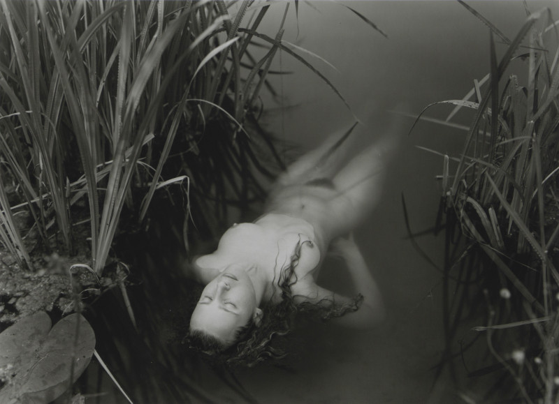 Jock Sturges – Portfolio Collection of 10 Photos