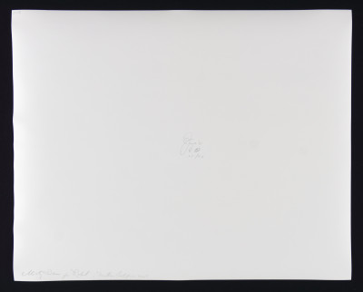 Jock Sturges – Portfolio Collection of 10 Photos