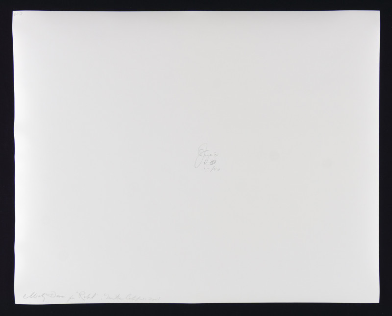 Jock Sturges – Portfolio Collection of 10 Photos