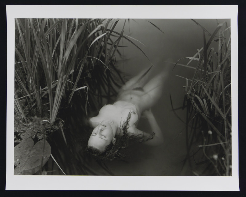 Jock Sturges – Portfolio Collection of 10 Photos