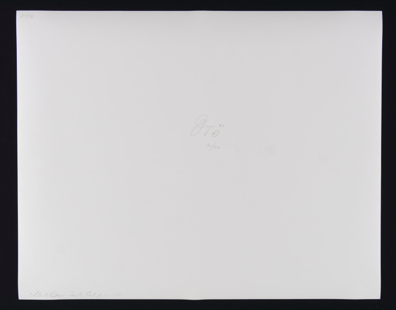 Jock Sturges – Portfolio Collection of 10 Photos