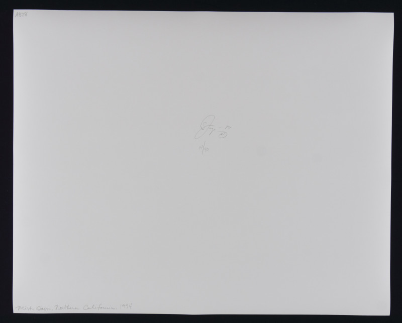 Jock Sturges – Portfolio Collection of 10 Photos