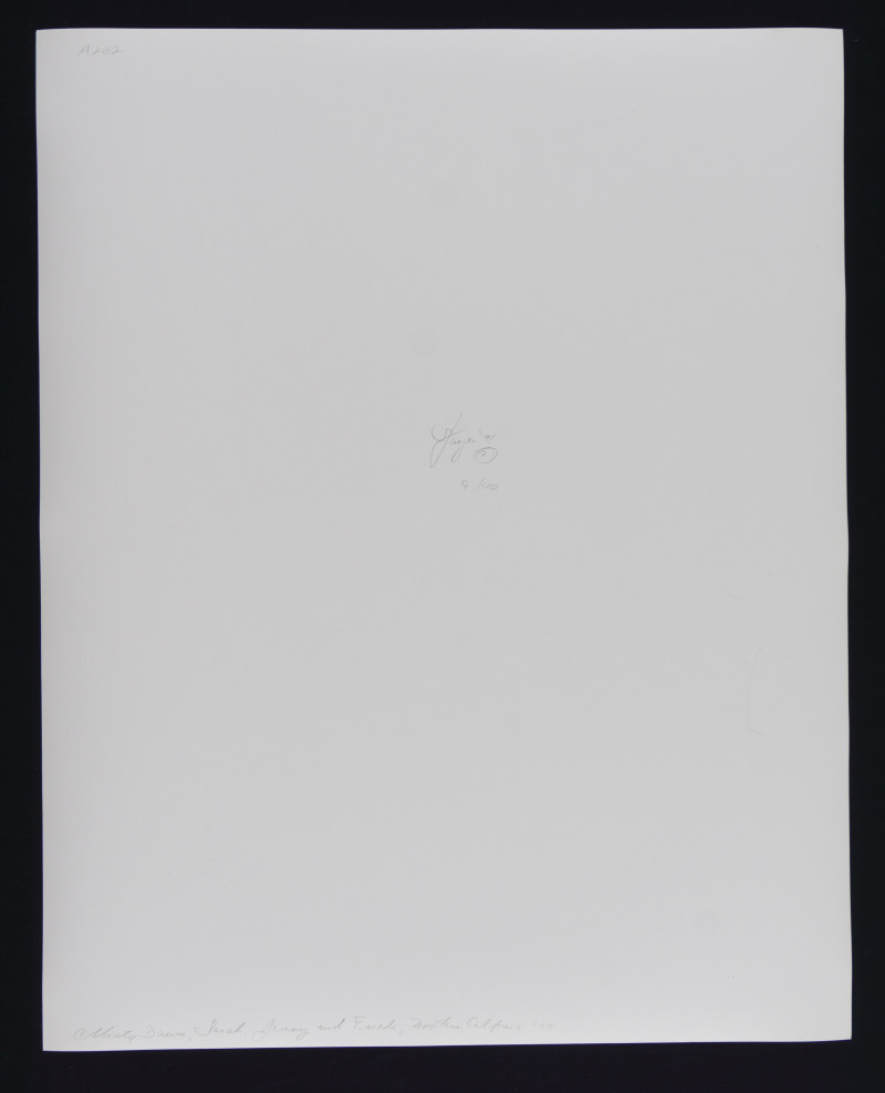 Jock Sturges – Portfolio Collection of 10 Photos