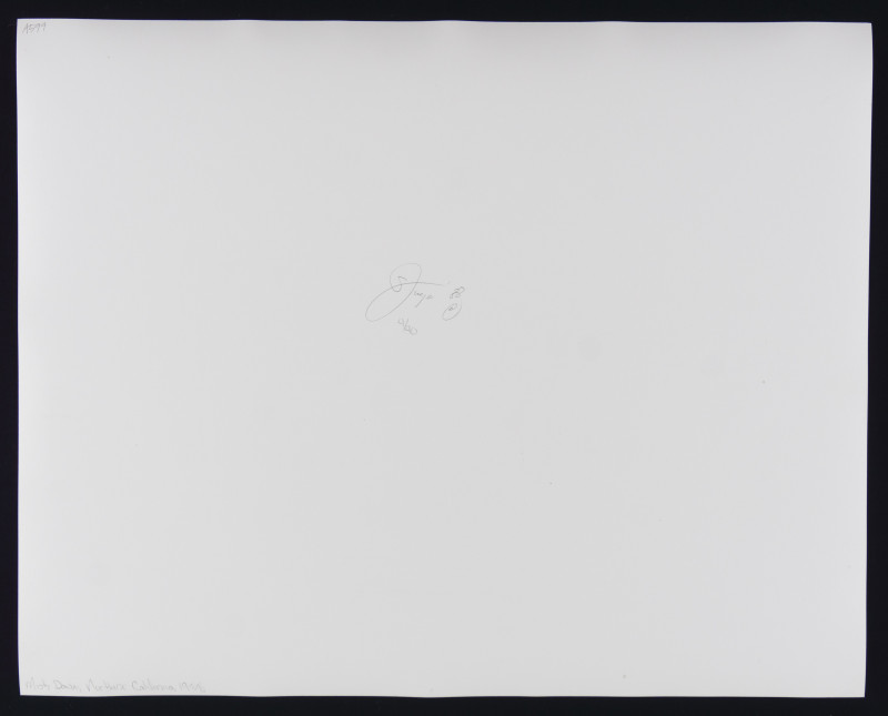 Jock Sturges – Portfolio Collection of 10 Photos