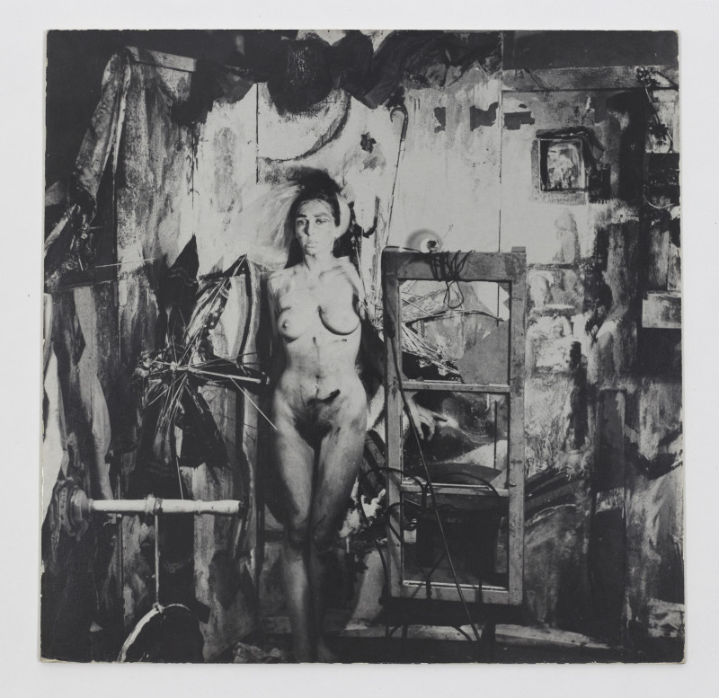 Carolee Schneeman - single standing image from Eye Body