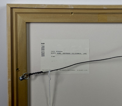 Jock Sturges - Misty Dawn, Northern California