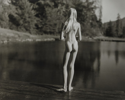 Image for Lot Jock Sturges - Misty Dawn, Northern California