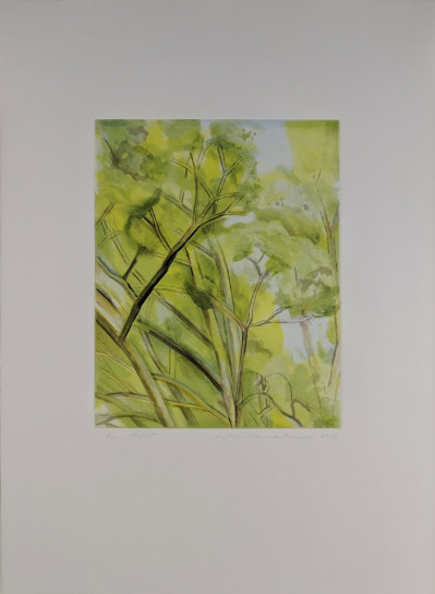 Sylvia Mangold - The Pin Oak Diptych