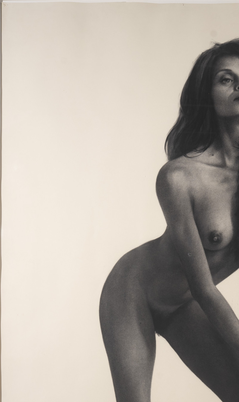 Robert Chapman - Untitled (Ballet Slippers)