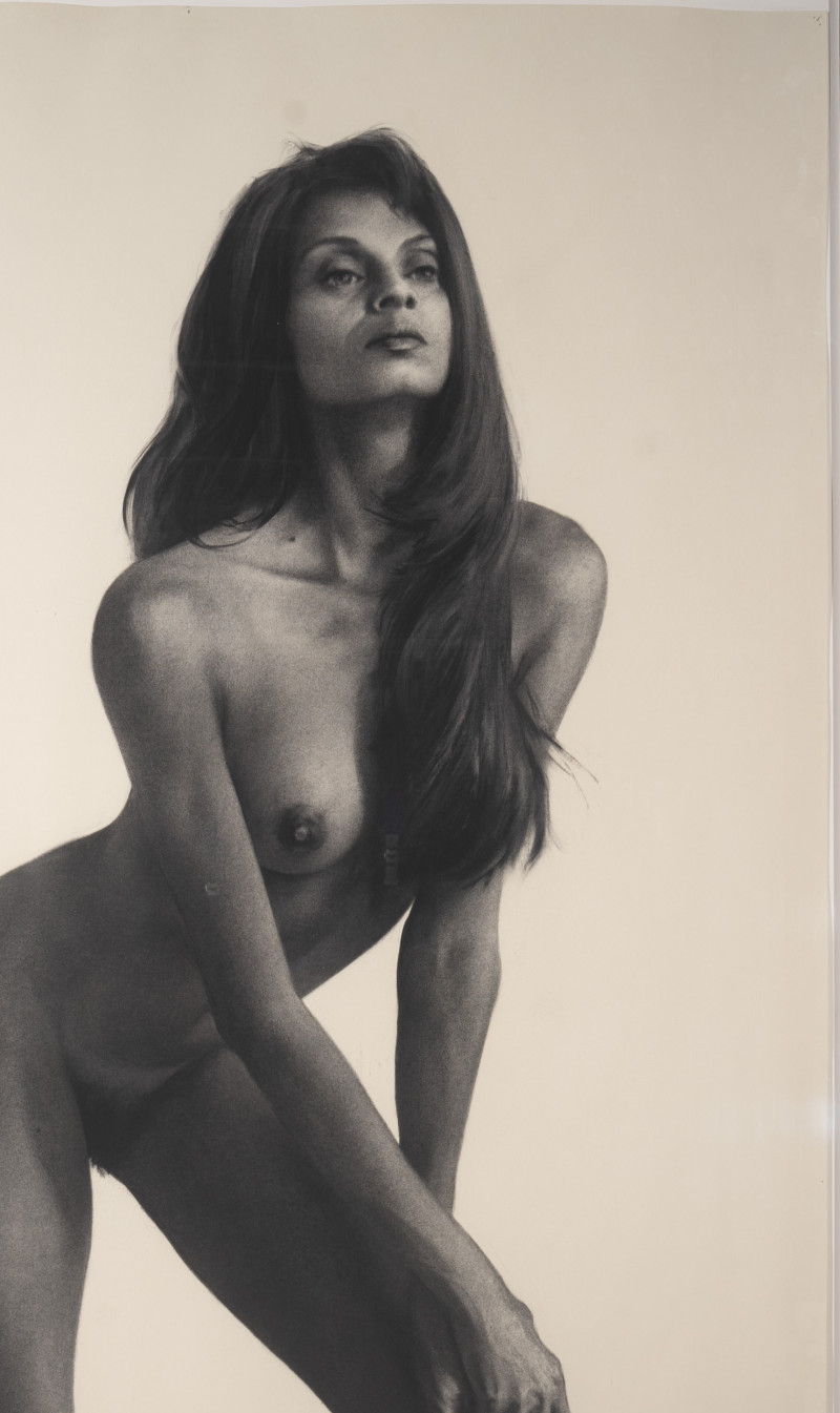 Robert Chapman - Untitled (Ballet Slippers)