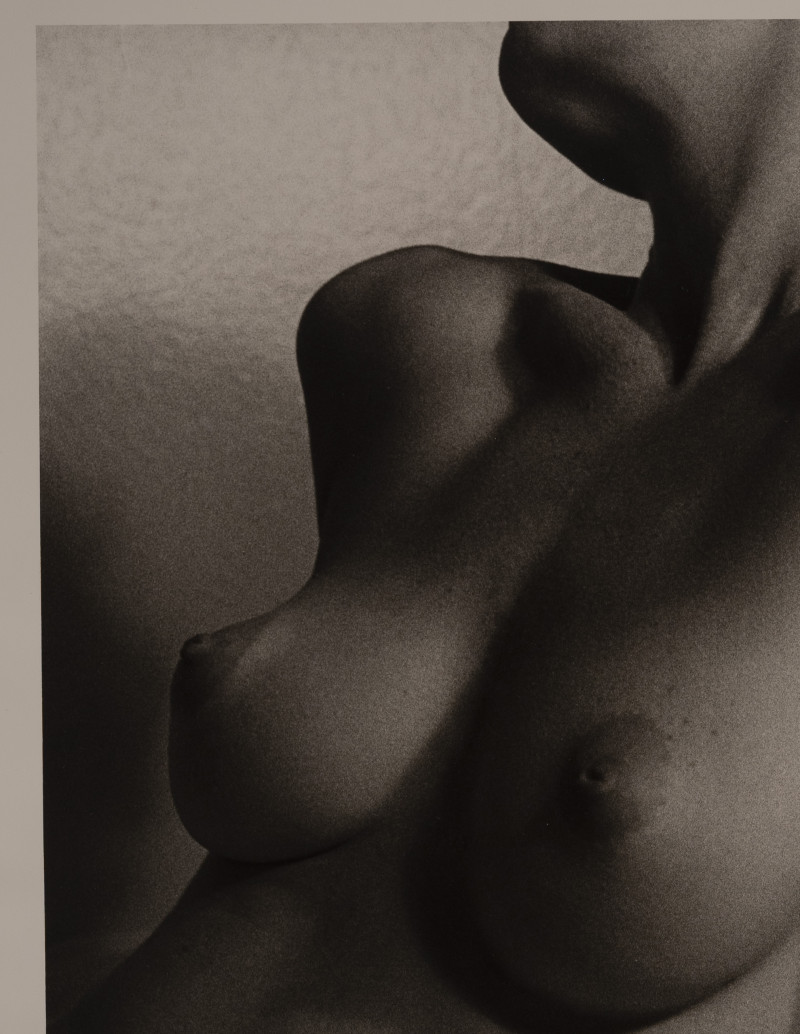 Marie-Claire Montanari - Sculptural Torso