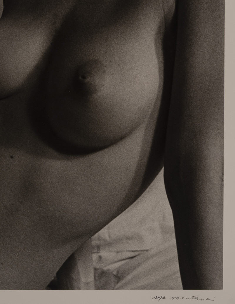 Marie-Claire Montanari - Sculptural Torso