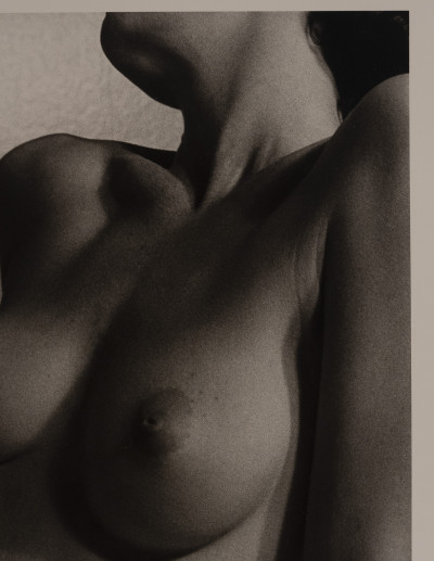 Marie-Claire Montanari - Sculptural Torso