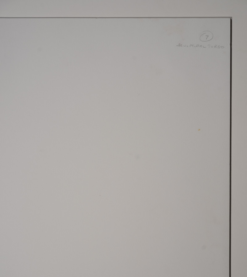 Marie-Claire Montanari - Sculptural Torso